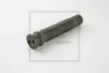 PE Automotive 144.060-00A Spring Bolt